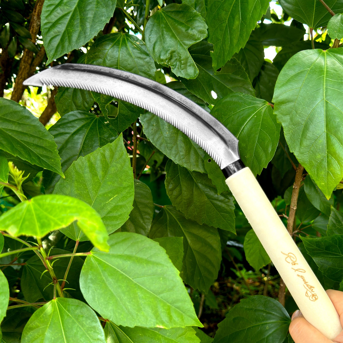 Japanese Serrated Saw Tooth Sickle