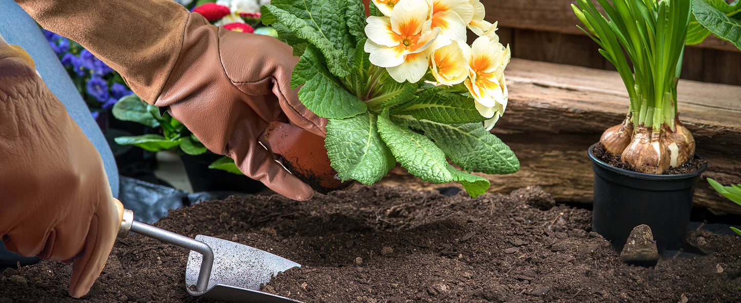 Rose Pruning Gloves for Men and Women - Thorn Proof Goatskin Leather Gardening Gloves with Gauntlet
